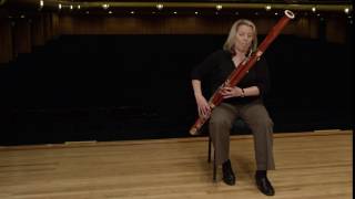 What does a bassoon sound like Ode to Joy [upl. by Assiron]