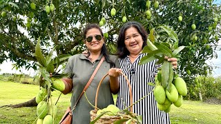 Farm Tour From Orphan to Millionaire Kahit Sino Pwede Yumaman [upl. by Tami]