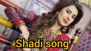 Sindhi wedding song 2024 sindhi music  sindhi full song sindhi wedding  sindhi wedding songs [upl. by Hallam]