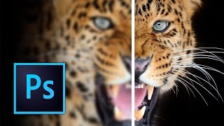 How to Sharpen Images in Photoshop [upl. by Hnahym282]