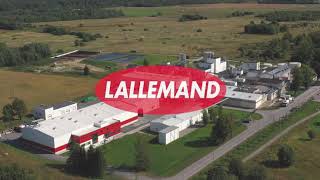 Virtual Tour Lallemand Salutaguse Estonia plant [upl. by Chansoo450]