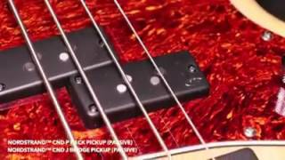 Review Ibanez Talman Bass TMB600 [upl. by Gilmer]