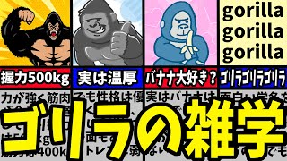 【動物雑学】ゴリラの面白い雑学７選を解説！ [upl. by Aihsekyw289]