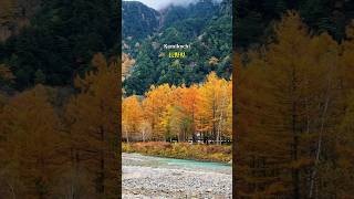 Autumn Kamikochi 🍁 japan travel mountainview kamikochi japantrip japantravel song music [upl. by Ahsetra258]