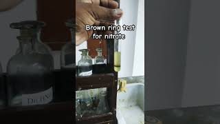 brown ring test for nitrate NO3– [upl. by Annohsak]