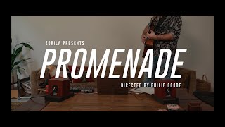 ZORILA  PROMENADE Official Music Video [upl. by Holbrook]