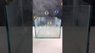 Agak syok dikit 🤏 bubble floating dryice experiment [upl. by Lilaj18]