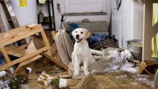 Marley and Me The Puppy Years Official Trailer [upl. by Gannes745]