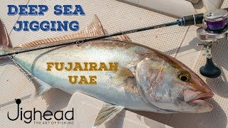 Searching for Amberjack  Gulf of Oman jigging [upl. by Acessej]