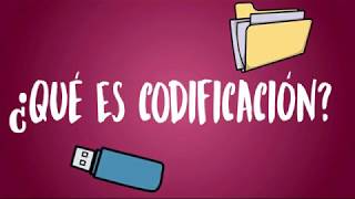 ¿Qué es la codificación [upl. by Roldan]