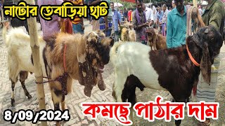 ছোট বড় তোতাপুরি হরয়িানা দেশি ক্রস জাতের পাঠা ছাগলের দাম জানুন নাটের তেবাড়িয়া হাট থেকে। 8092024 [upl. by Rustice]