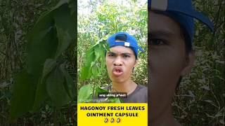 Hagonoy Fresh Leaves Testimony 🤣🤣🤣 cyreljayvillaro [upl. by Aneg]