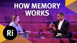 The neuroscience of memory  Ri Science Podcast with Charan Ranganath [upl. by Adnwahs75]