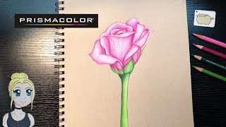 How to Draw a Rose  Prismacolor Pencils [upl. by Navi524]