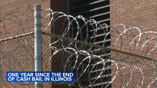 1 year after end of cash bail in IL impact less than expected data [upl. by Margherita170]