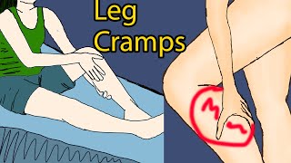 Night leg cramps  Leg Cramps at Night Causes Pain Relief amp Prevention [upl. by Balch]