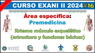 Curso EXANI II 2024 Premedicina Sistema músculo esquelético estructura y funciones básicas 16 [upl. by Mercie]