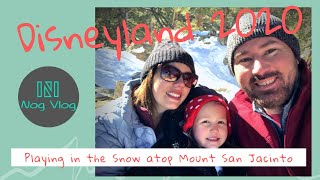 Playing in the snow atop Mount San Jacinto [upl. by Fen]