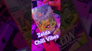 Zelda Chill Vibes🛡 Nintendo Zelda ChillVibes EchoesOfWisdom Switch Link relaxing [upl. by Hecker]