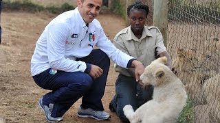 13 settembre 1973  Nasce Fabio Cannavaro  Almanacchi Azzurri [upl. by Yoshi]