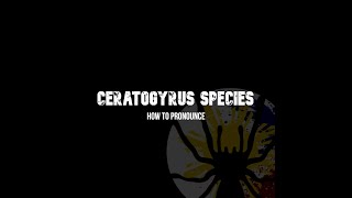 How to Pronounce Ceratogyrus Brachycephalus [upl. by Poucher]