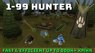 199 Hunter Guide Runescape 3 Up to 800k xphr [upl. by Evangeline]