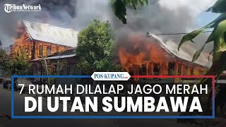 7 Rumah Dilalap Si Jago Merah di Kecamatan Utan Kabupaten Sumbawa [upl. by Ornie]