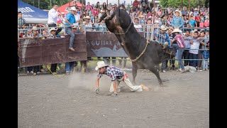 Rodeio  Boi Acordou na Hora Pulou mais que tudo [upl. by Allie]