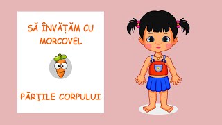 Sa invatam cu Morcovel  Partile Corpului [upl. by Vassily]