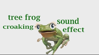 The Animal Sounds Tree Frog Croaking  Sound Effect  Animation [upl. by Dhu]