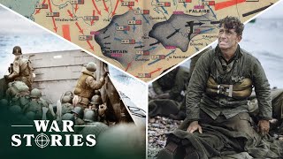 DDay What Was It Like To Fight In The Battle Of Normandy  Both Sides Of The Line  War Stories [upl. by Nuawd406]