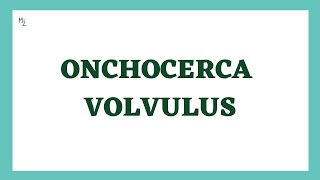 Onchocerca volvulus  Onchocerciasis  River Blindness  Lifecycle Symptoms Treatment  Full Lec [upl. by Dami567]