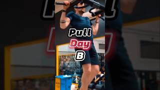 Lasciati Ispirare dalla mia Split Push Pull Legs su 6 sessioni di allenamento Pull Day B 56 [upl. by Joe]