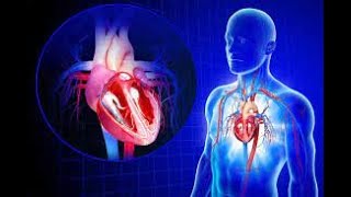 🔴 3 CVS Part 3 medications act on CVS DrHazem Sayed [upl. by Orran]