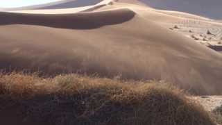 Shifting Sand Dunes in Namibia [upl. by Thgirw774]