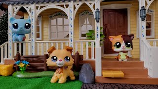 Making My LPS A New Horror Mansion [upl. by Barraza681]