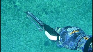 Pescasub Pesca in Tana con Fiocina Omer 4 Punte Mustad e Sorpresa Finale  Spearfishing [upl. by Ashman]