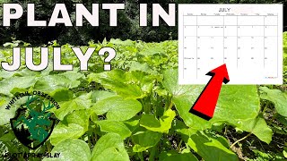 Year Round Deer Food Plot Strategy  Big amp Small Farms [upl. by Anih]