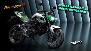 AKHIRNYA ‼️ NEW KAWASAKI Z250 2024 RESMI MENGASPAL  TORSI LEBIH GEDE DARI ZX4RR TAPI ⁉️ [upl. by Tennos]