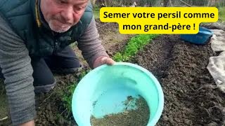 Comment semer du persil à lancienne comme nos grandspères [upl. by Ycnahc]