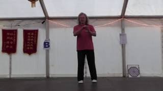 Shibashi III  Taiji Qigong 3rd set [upl. by Nangem37]