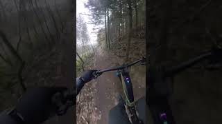 Teertango Trail  Red Mountainbike Trail [upl. by Rothwell]