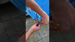 Corner Knot Technique rope [upl. by Marley]