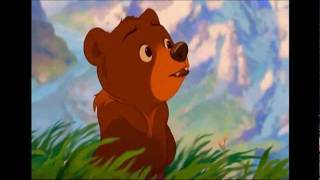 On My Way Brother Bear HD [upl. by Deyes]