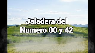 Jaladera del numero 00 y 42 [upl. by Siram]