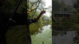 Fishing in pond fishing hookfishing [upl. by Mallin]