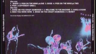 Pink Floyd Pigs On The Wing Part 1 Live Stafford Hall 1977 [upl. by Iggy]