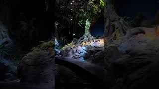 ⛈️THUNDERSTORMS Inside The Land a pavilion at World Nature  Disney’s Epcot theme park [upl. by Nalepka298]