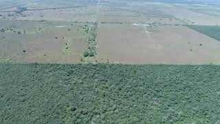 Deforestación en el Chaco estancias ganaderas operan sin autorizaciones en Paraguay [upl. by Anitsyrhc128]