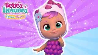 ESPECIAL BEBÉS LLORONES TUTTI FRUTTI 💦 LÁGRIMAS MÁGICAS 💕 CAPITULOS Completos para NIÑOS en español [upl. by Lyrahc]